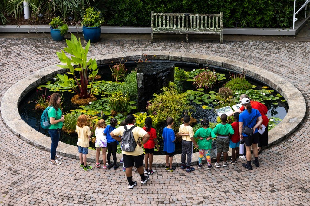 Horizons participants attend a field trip to the the State Botanical Garden of Georgia.