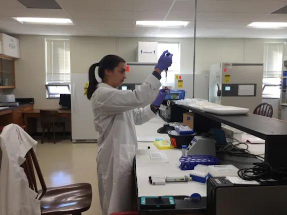 A graduate research student pipetting a standard sample amount to calculate a standard curve for a triglyceride assay.